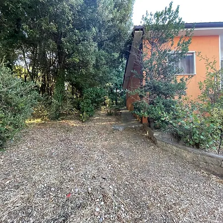 Rifugio Del Bosco In The Heart Of Daire Aggius