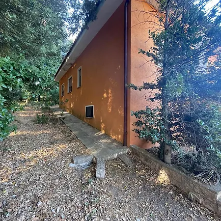 Rifugio Del Bosco In The Heart Of * Aggius