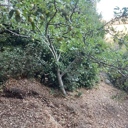 Rifugio Del Bosco In The Heart Of