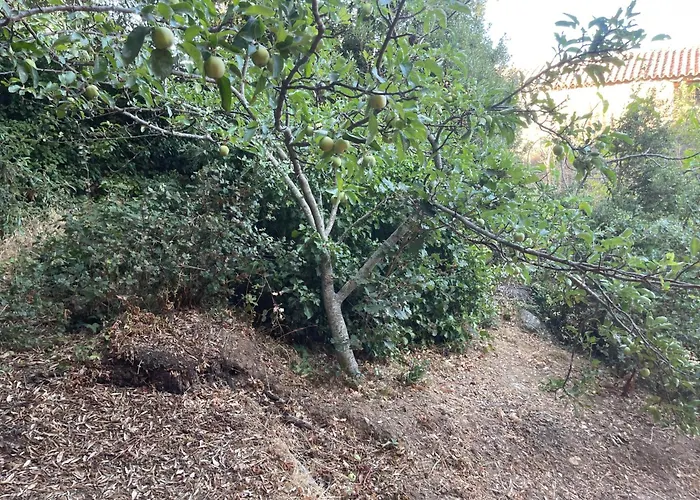 Rifugio Del Bosco In The Heart Of